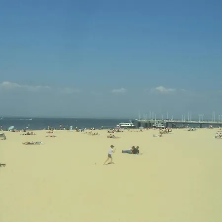 Arcachonaise A 50 M De La Plage, Centre Ferienhaus *